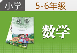 小学5-6年级数学 1对1个性化辅导